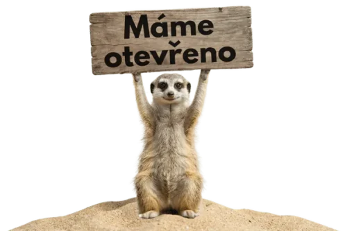 Právě máme otevřeno